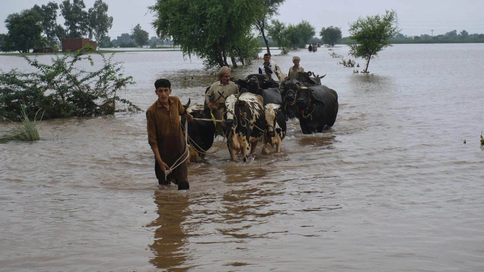 Pakistan's Punjab faces the biggest floods in its history, affecting 2 million people