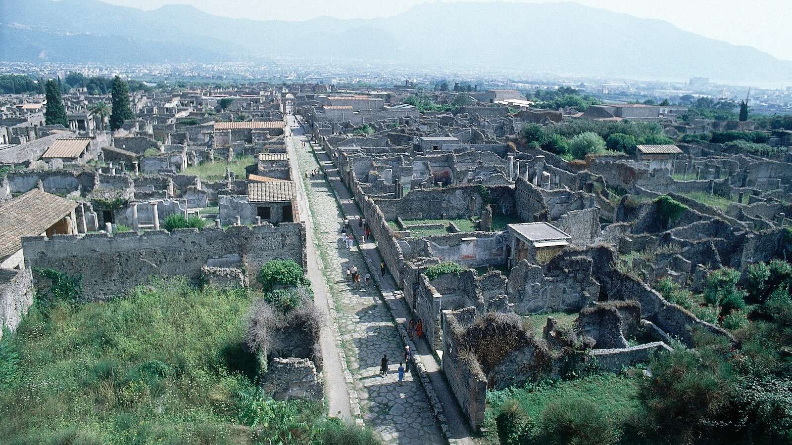 New DNA evidence rewrites long-told stories of people in ancient Pompeii