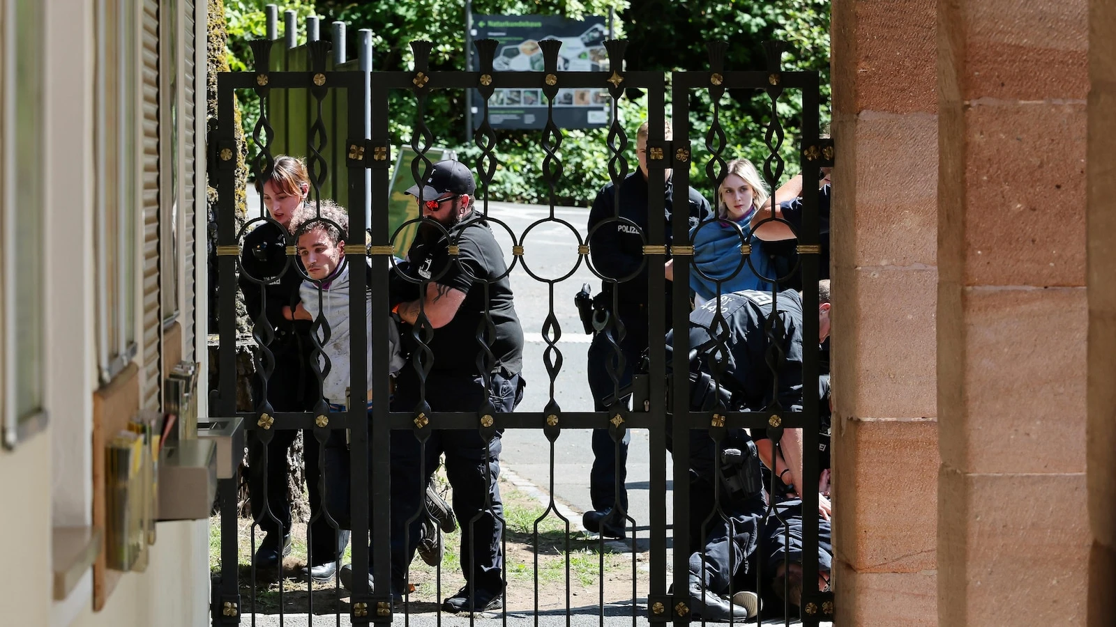 German zoo kills 12 baboons that it didn't have enough space to house, despite protests