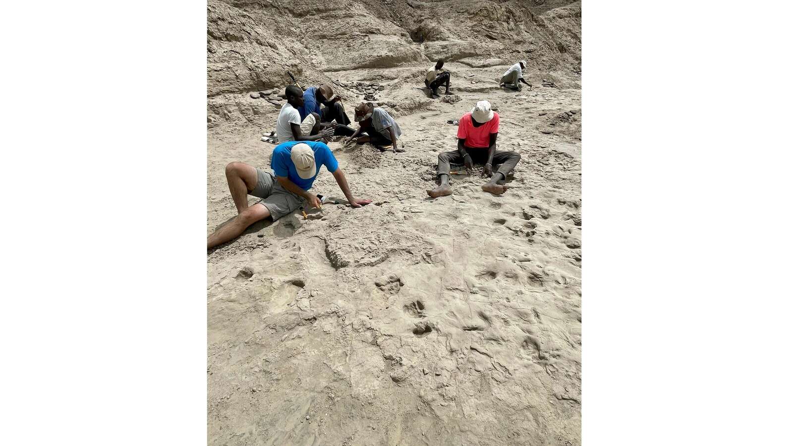 Muddy footprints suggest 2 species of early humans were neighbors in Kenya 1.5 million years ago