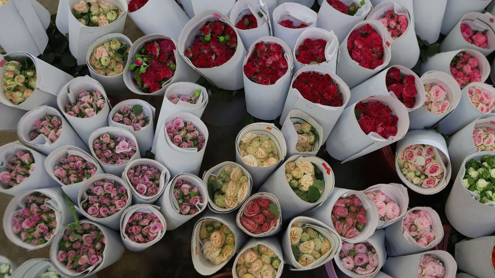 French group issues Valentine's Day warning that cut flowers have a variety of pesticides