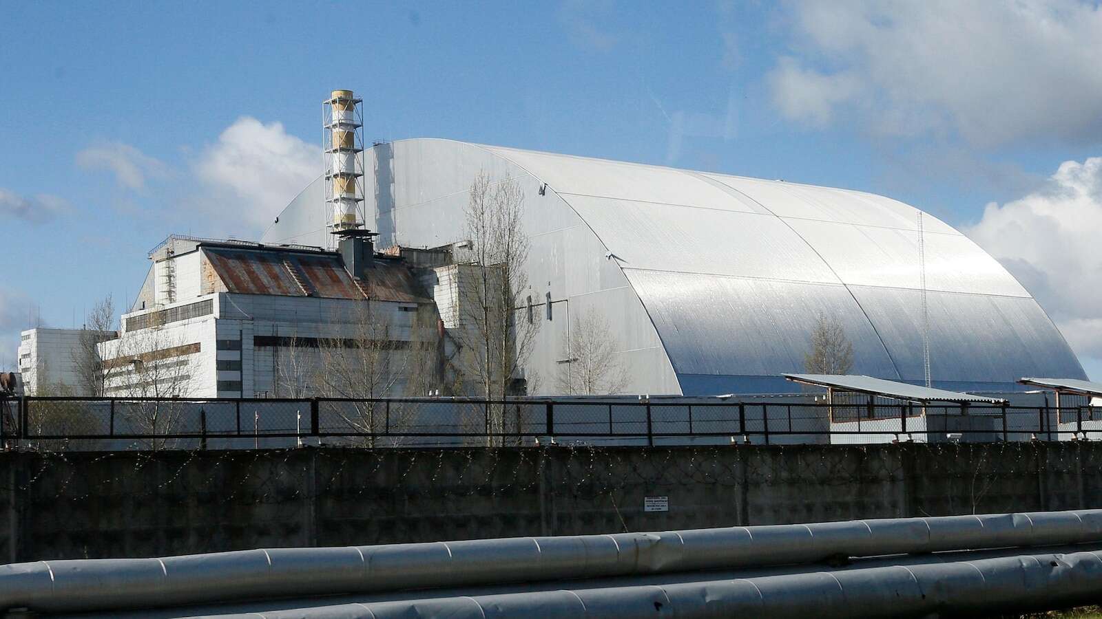 Mushrooms foraged in Sweden could help research Chernobyl radioactive fallout