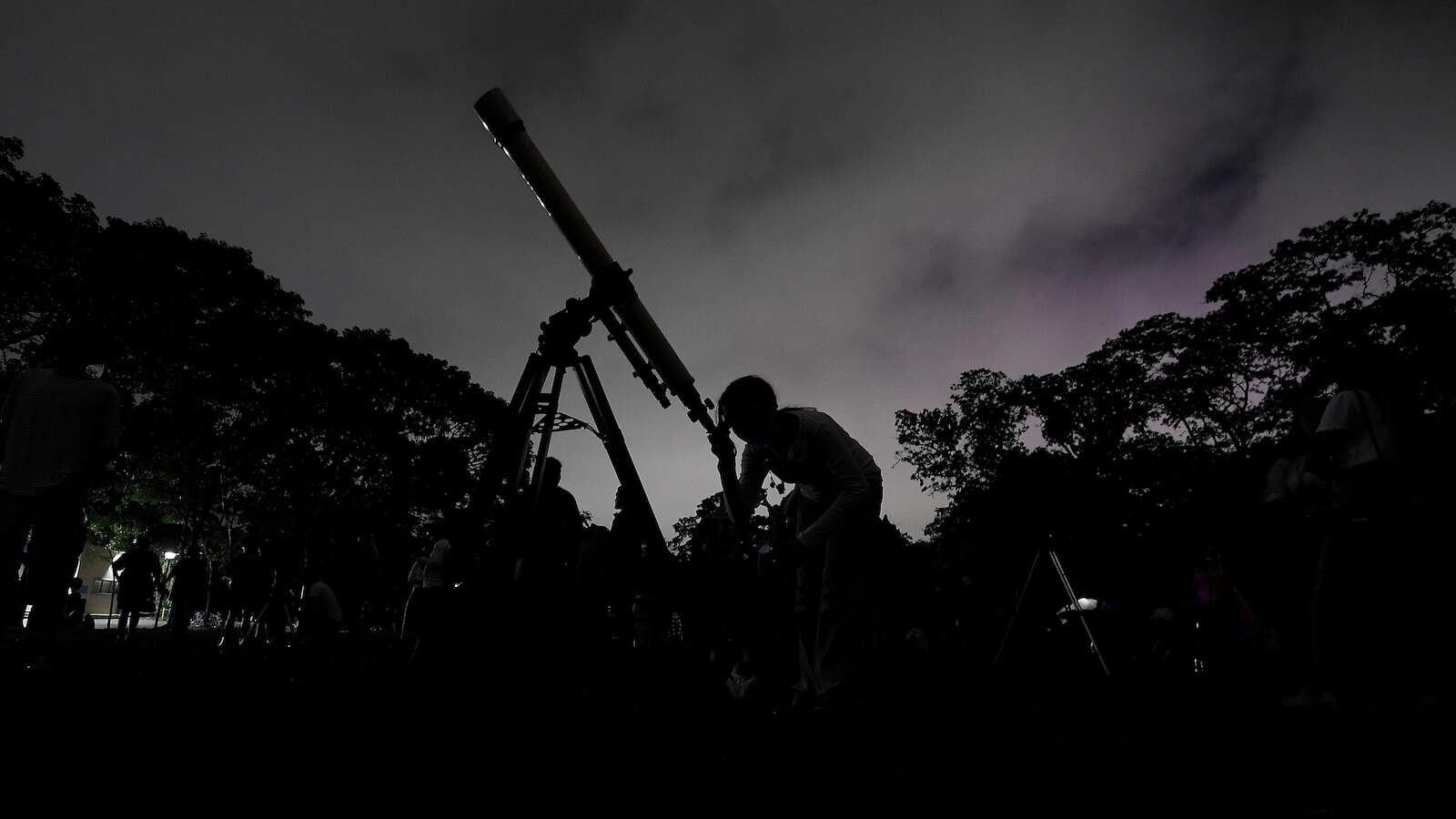 The last meteor shower of the year peaks a few days before Christmas