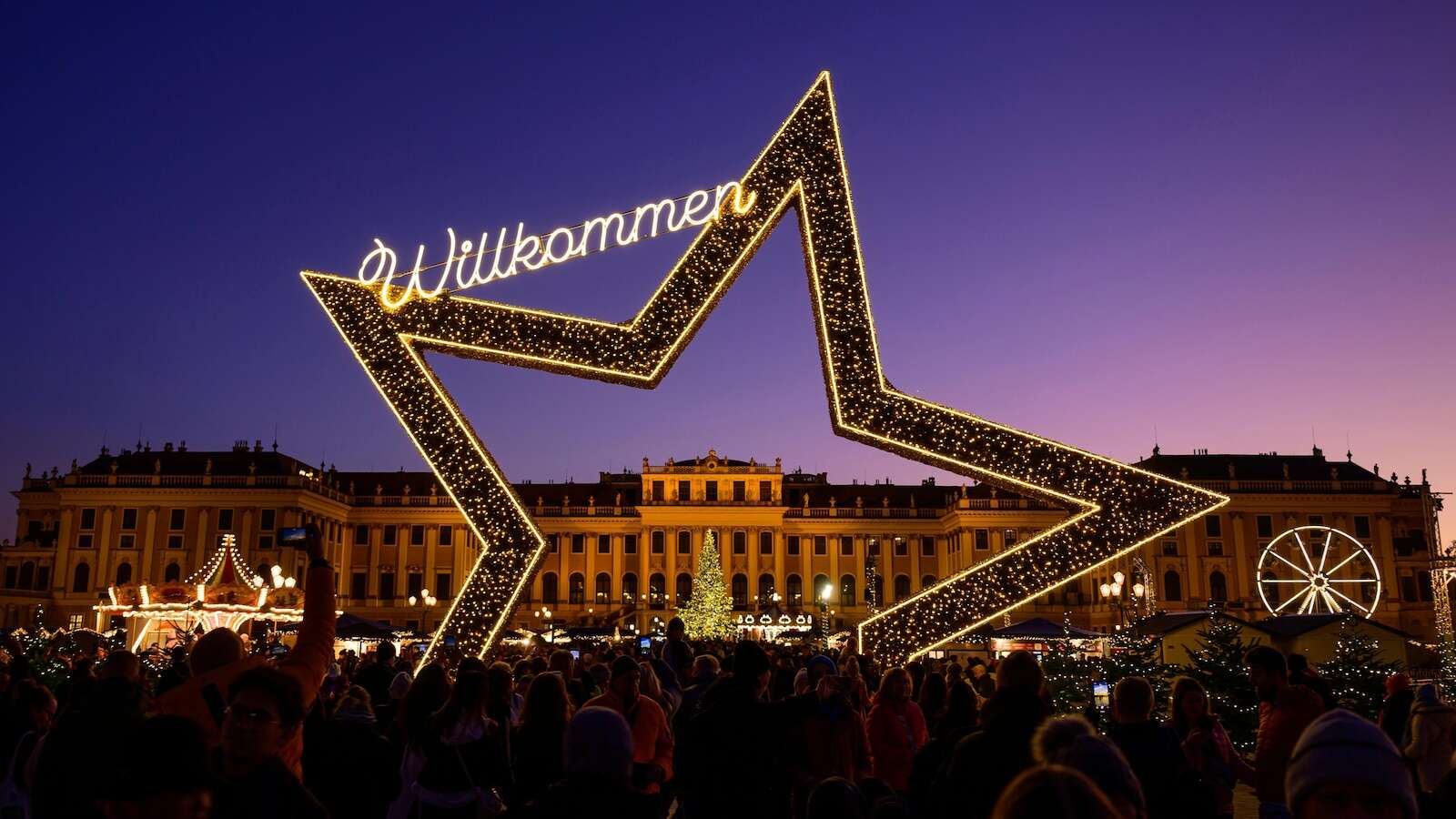 Lighting of Vienna town hall Christmas tree marks start of Yuletide season in Austrian capital