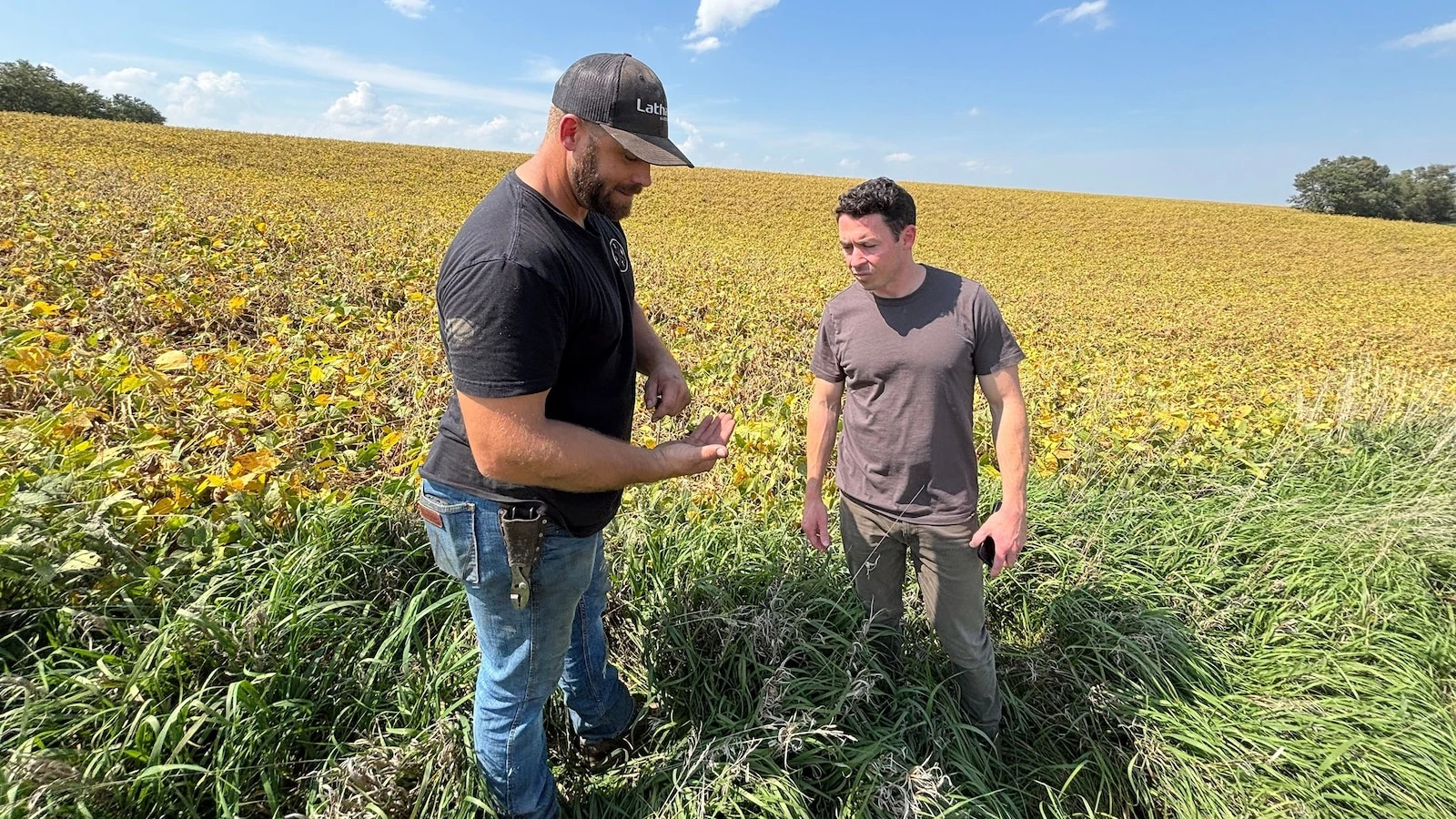 Soybean farmers caught in looming crisis as US trade war with China cripples sales