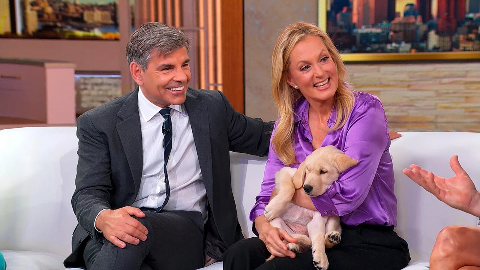George Stephanopoulos, Ali Wentworth welcome new furry family memberThe 