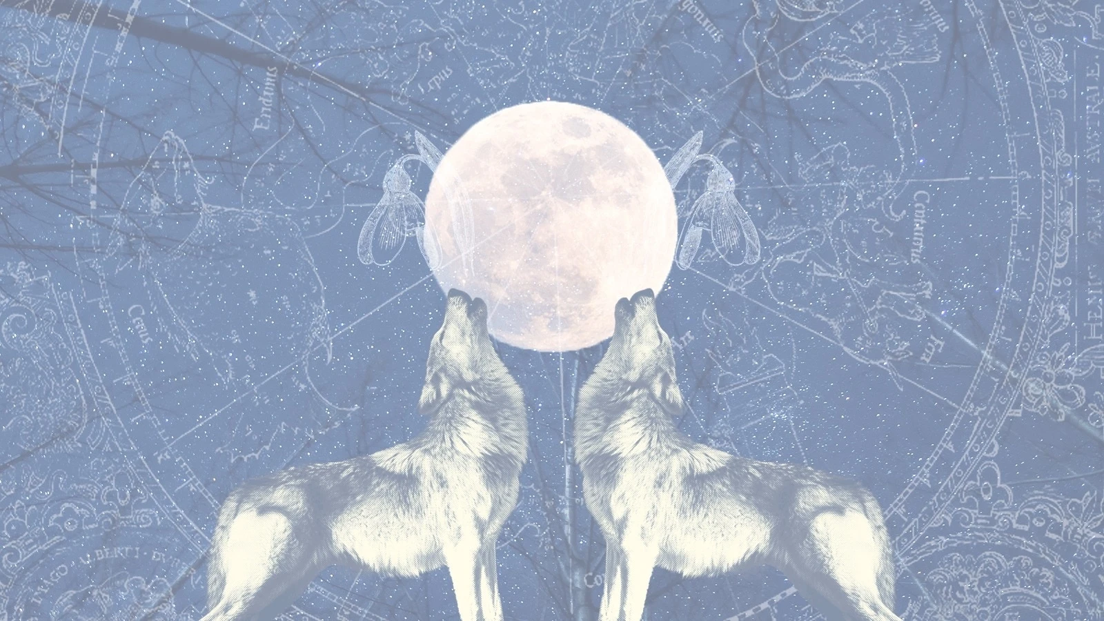What is January's full Wolf Moon? What it means for your zodiac signThe Wolf Moon will arrive Jan. 25, 2024, at 12:54 p.m. ET.1/25/2024 04:07:00 EST