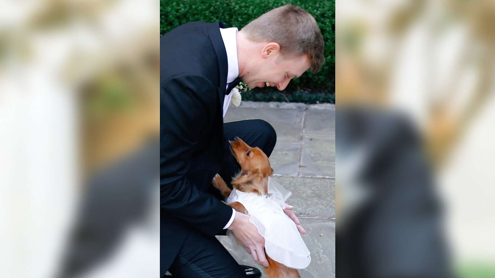 Groom and dog go viral for adorable 1st look at weddingA video of the first look surprise has gone viral on Instagram.7/12/2024 10:50:00 EDT