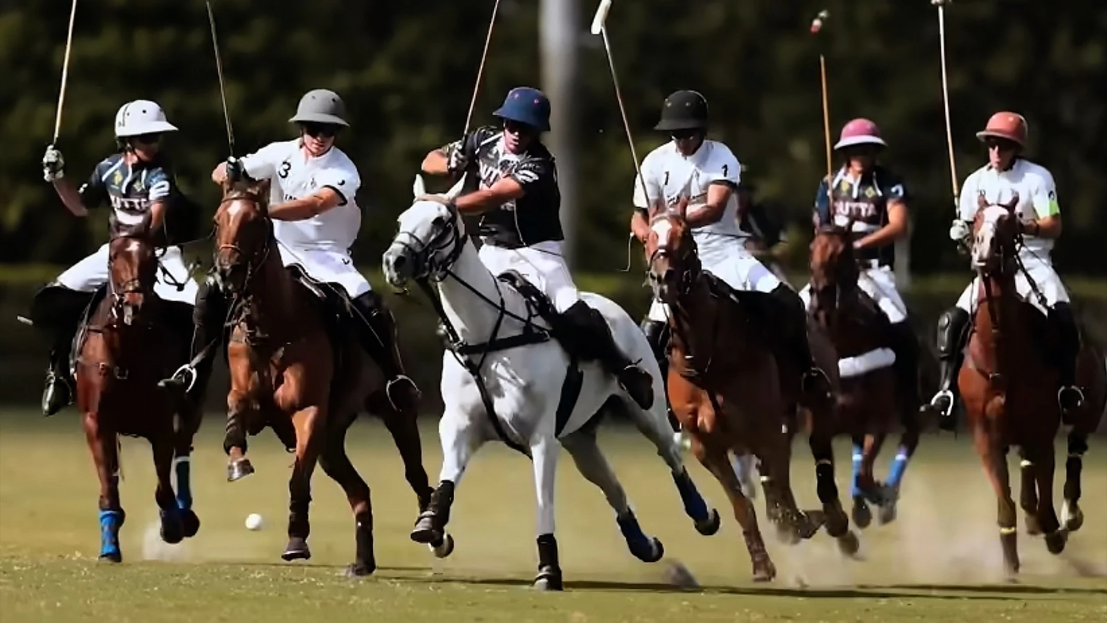 NetflixPrince Harry and Meghan explore world of polo in new docuseries: Watch trailer
