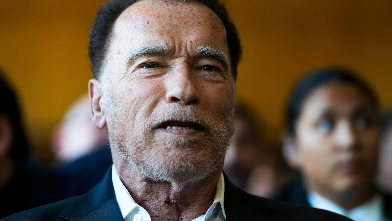 Schwarzenegger tells environmentalists dismayed by Trump to 'stop whining'