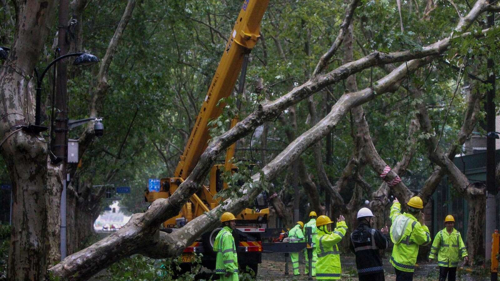 2 people reported dead in China as Typhoon Bebinca is downgraded to a tropical stormChinese state media say two people have died in eastern Jiangsu province as Typhoon Bebinca brought torrential rains and powerful winds before easing into a tropical storm9/17/2024 12:28:22 EDT