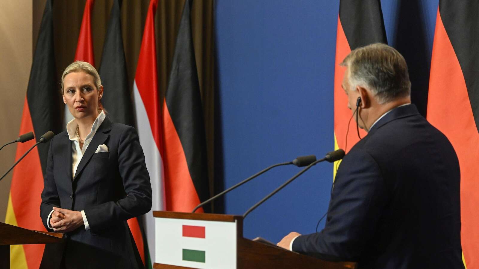 Hungary's Orbán meets head of far-right German party AfD, calling her 'the future of Germany'