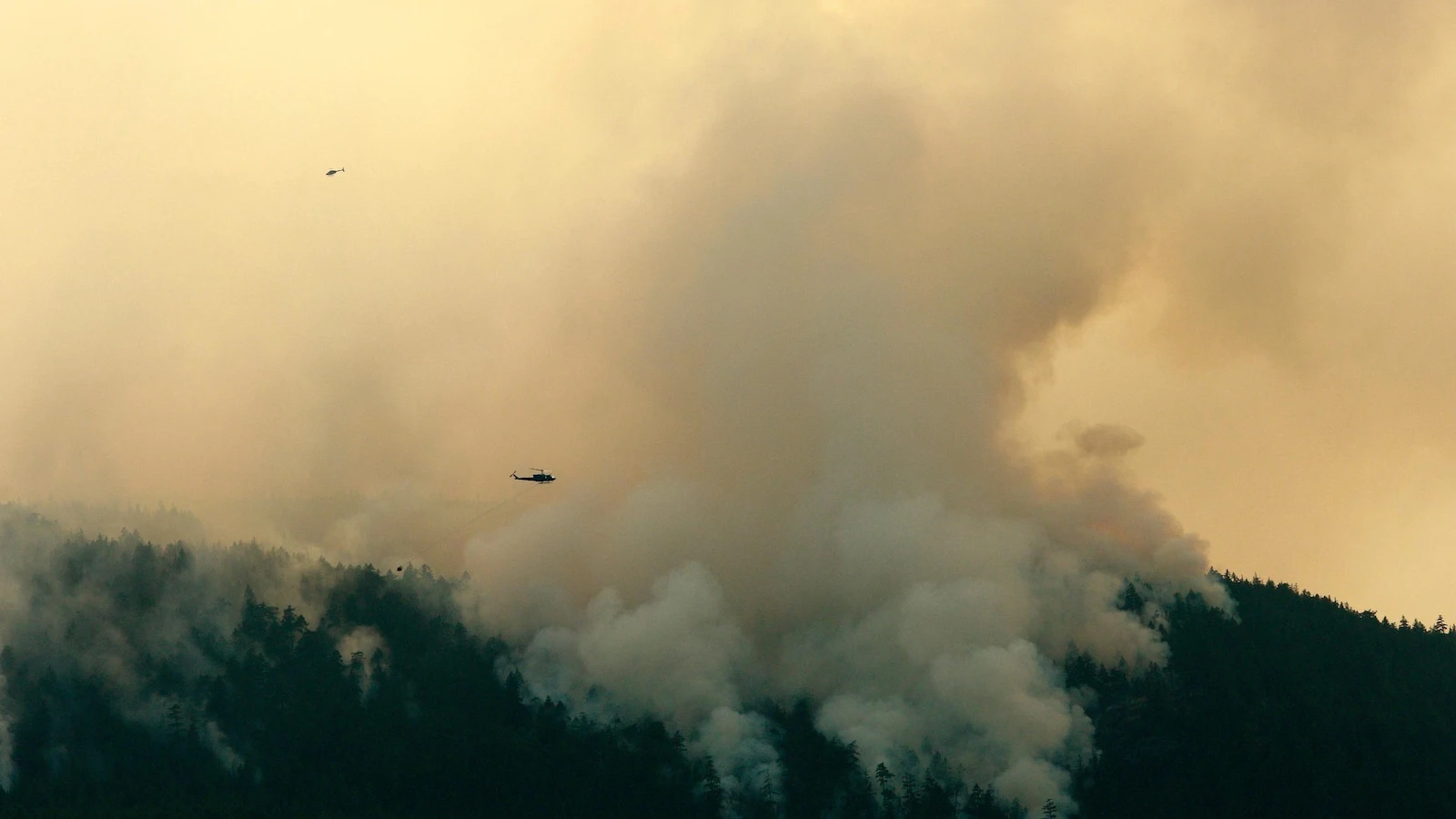 As Canada wildfires choke US with smoke, Republicans demand action. But not on climate change