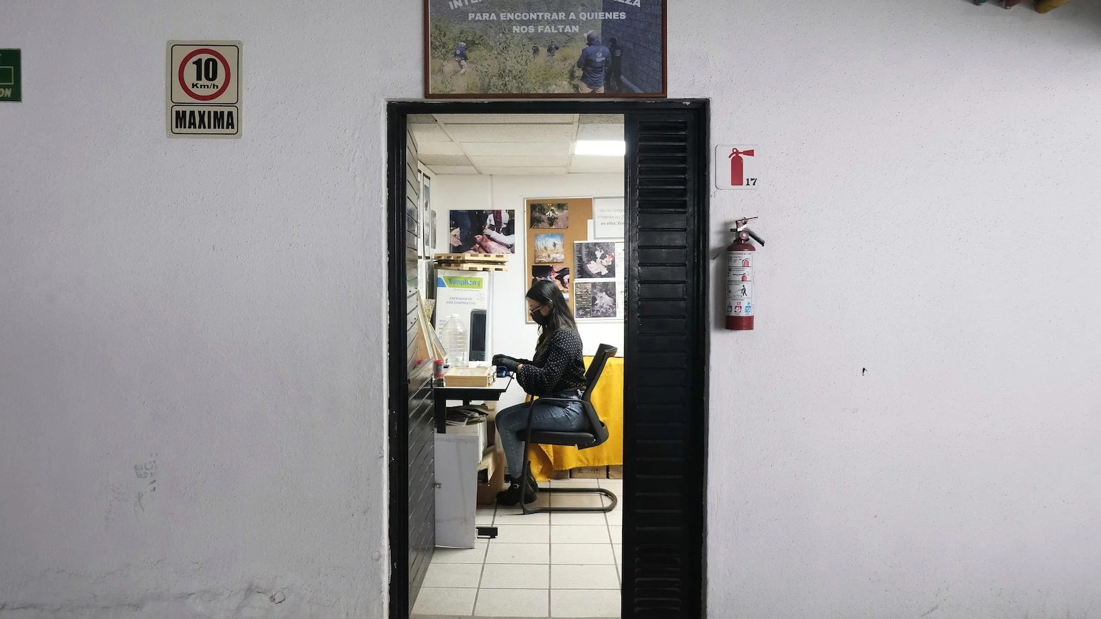 How high-tech tools and pigs, could help in search for Mexican drug cartel victims