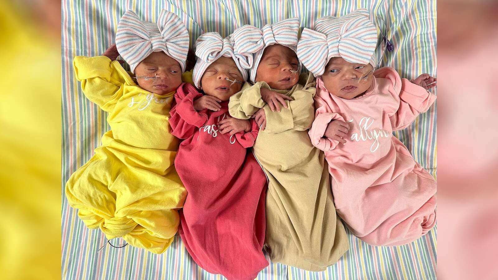 Family grows to 7 after welcoming quadruplets: 'A dream come true'