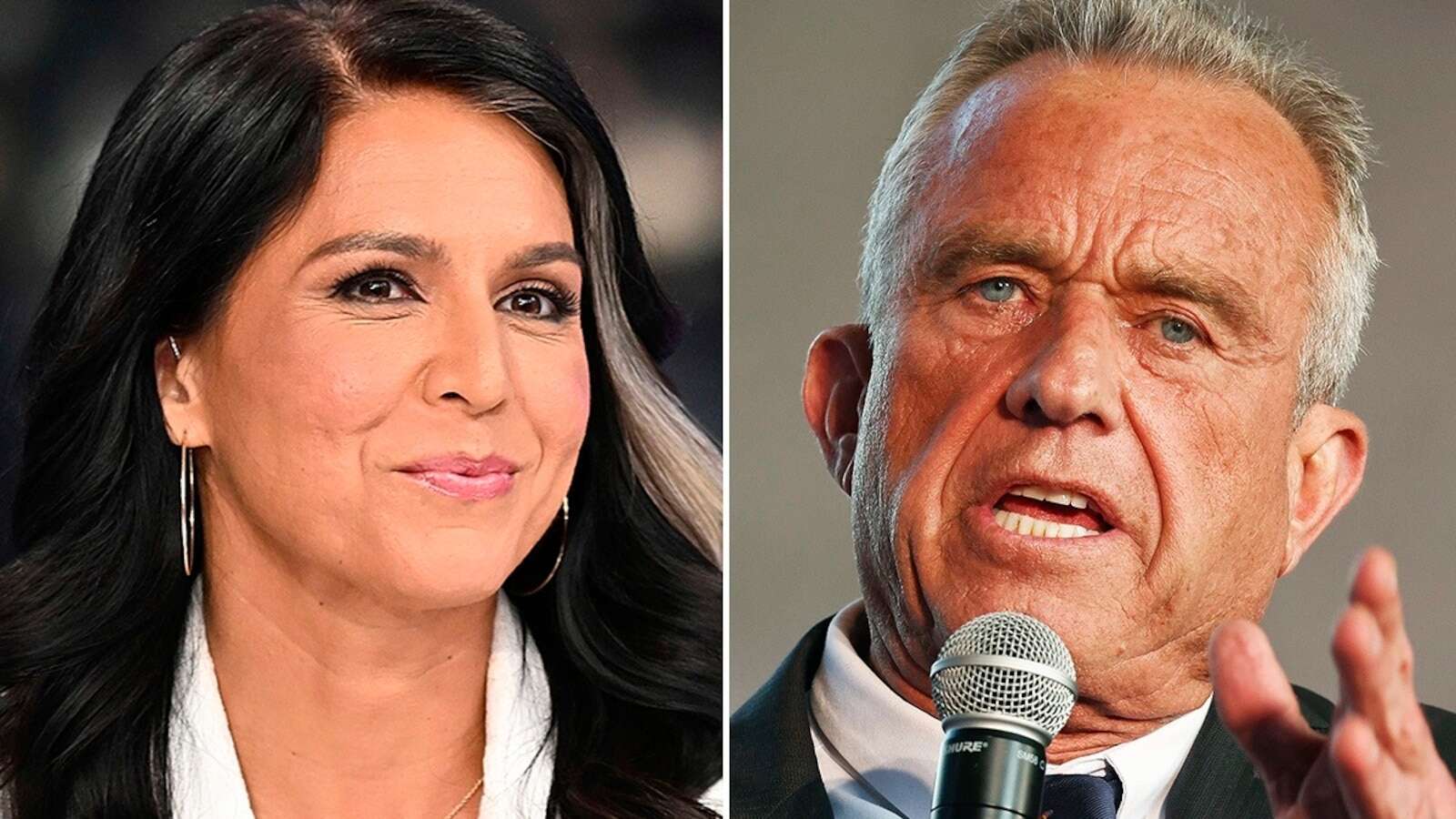 Tulsi Gabbard turned down RFK Jr.'s offer to be his running mate, she says