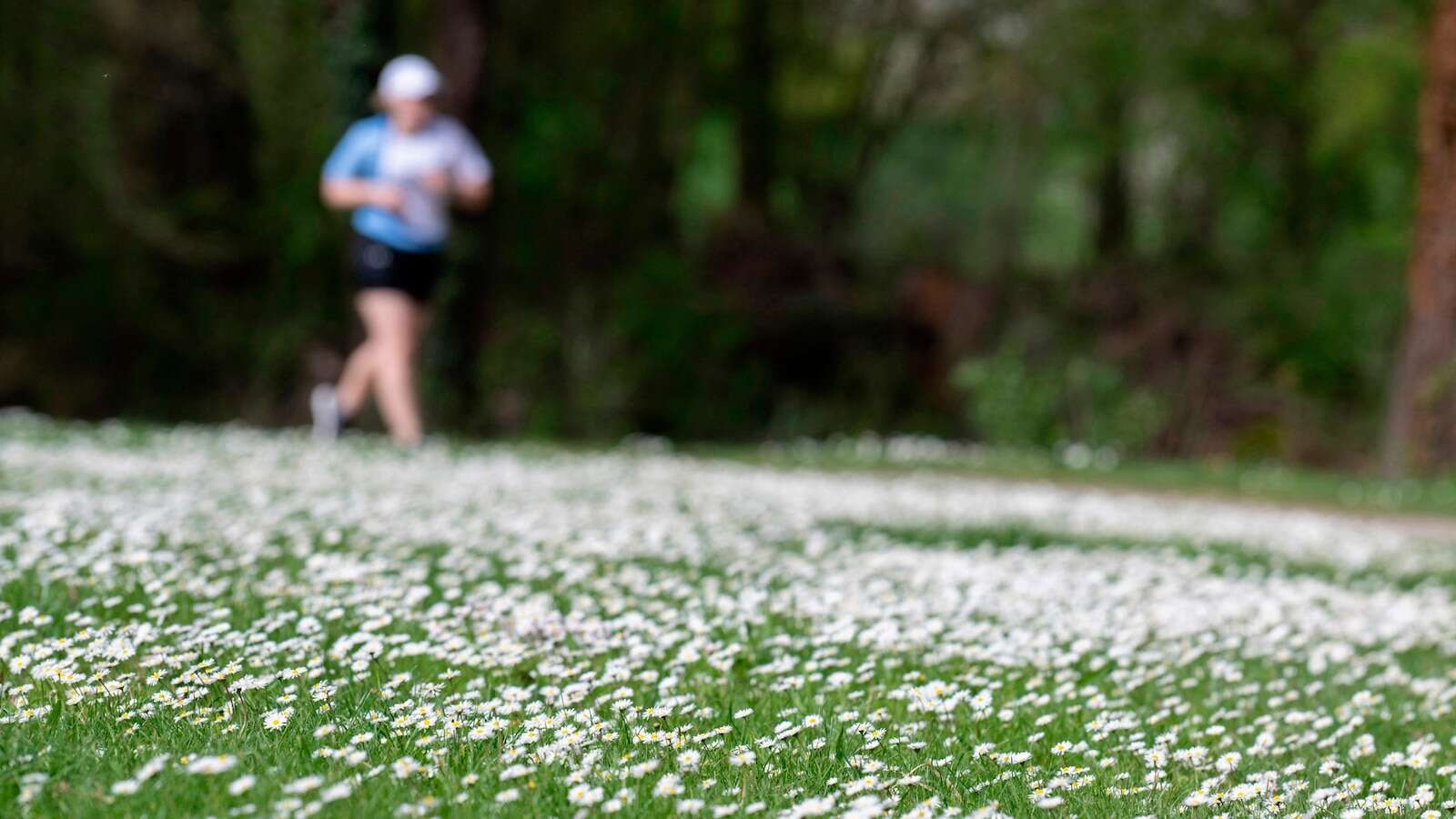 3 in 4 Americans feel that mental health takes a back seat to physical health