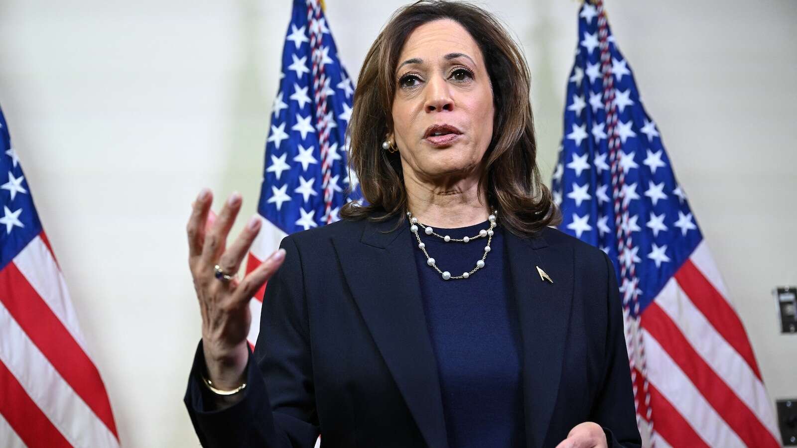 Vice President Harris marks 6 years since 