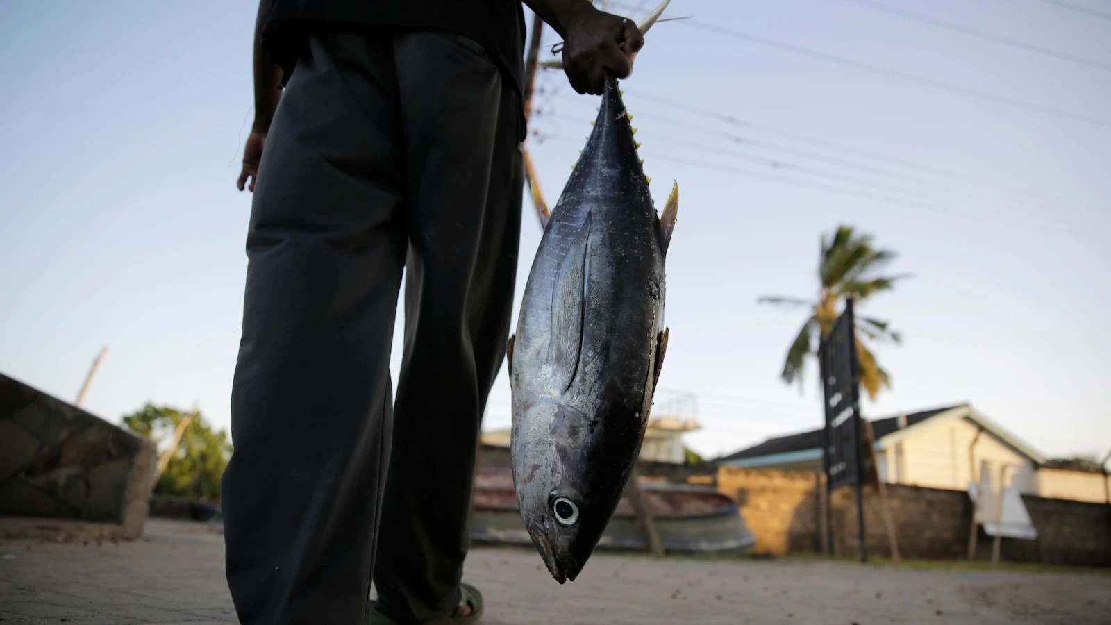 Long-wrought WTO global agreement aimed at reducing overfishing takes effect