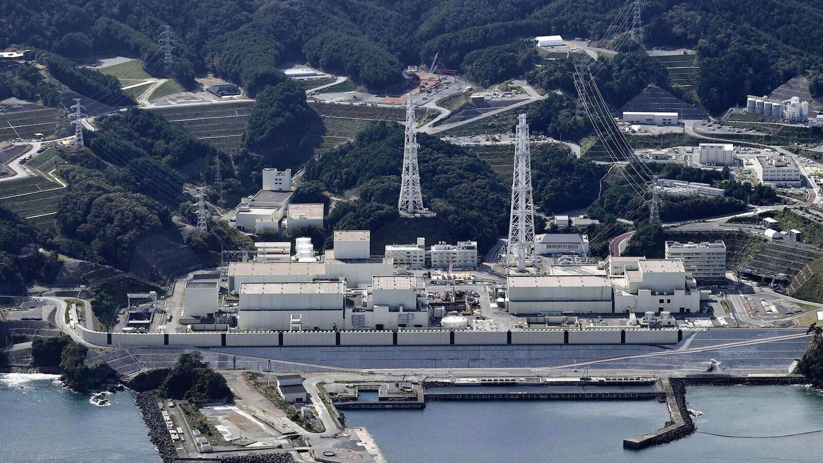 Japanese nuclear reactor which survived earthquake that badly damaged Fukushima power plant restarts