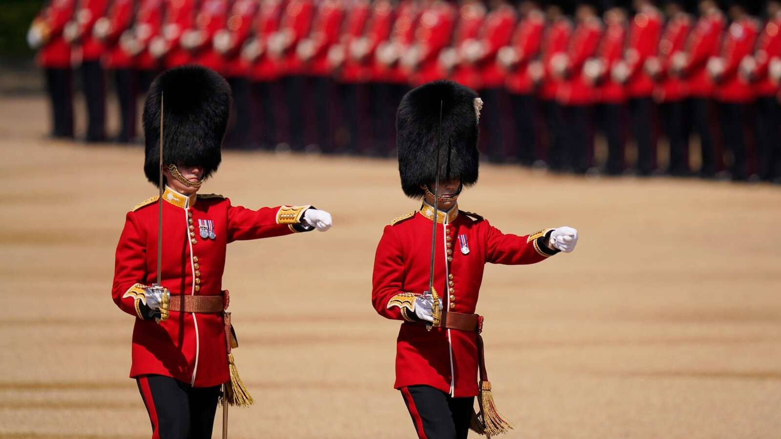 Buckingham Palace guard's distinctive bearskin caps under fire by animal rights group