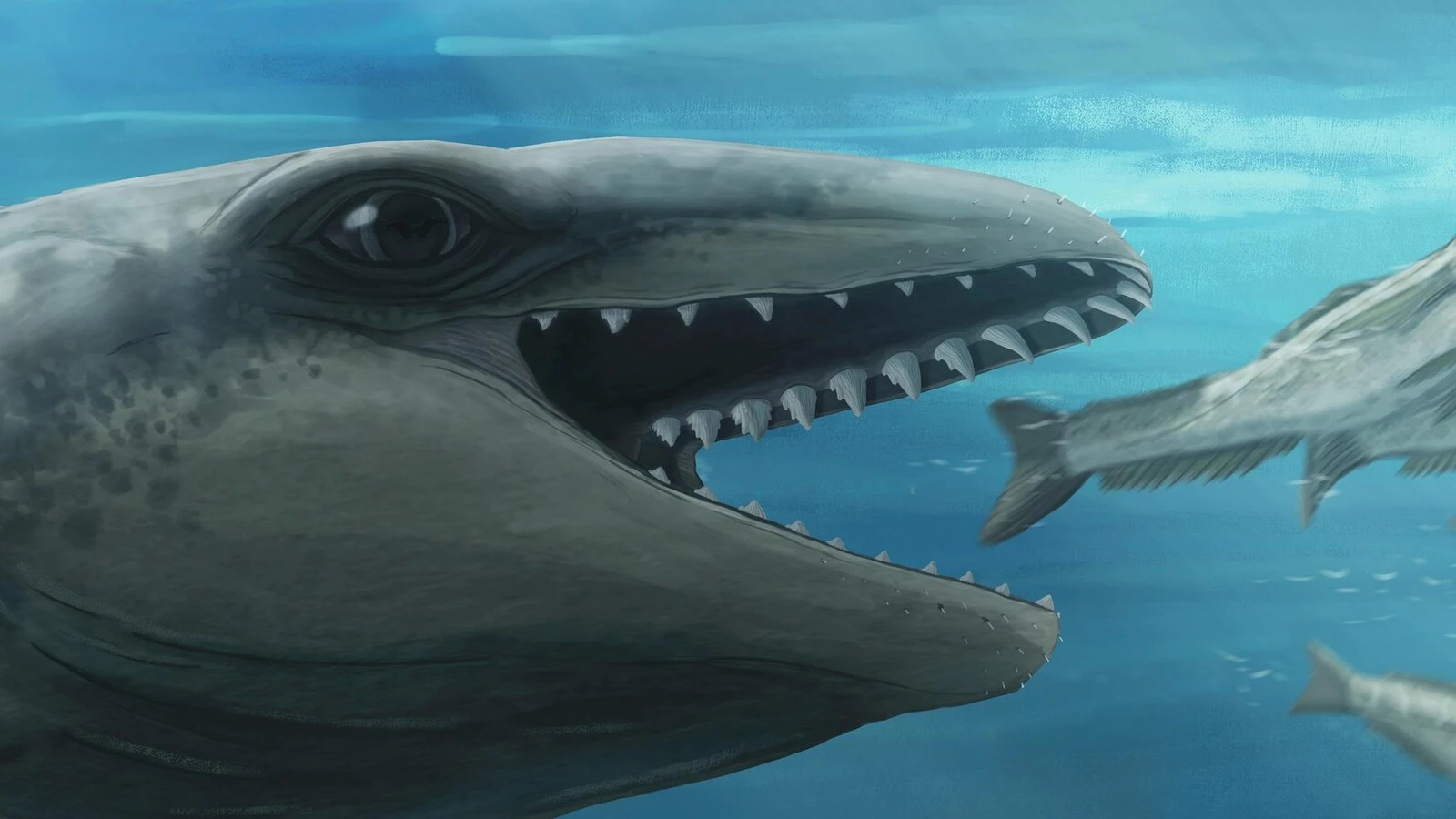 This prehistoric whale had razor teeth, bulging eyes and a face only evolution could love