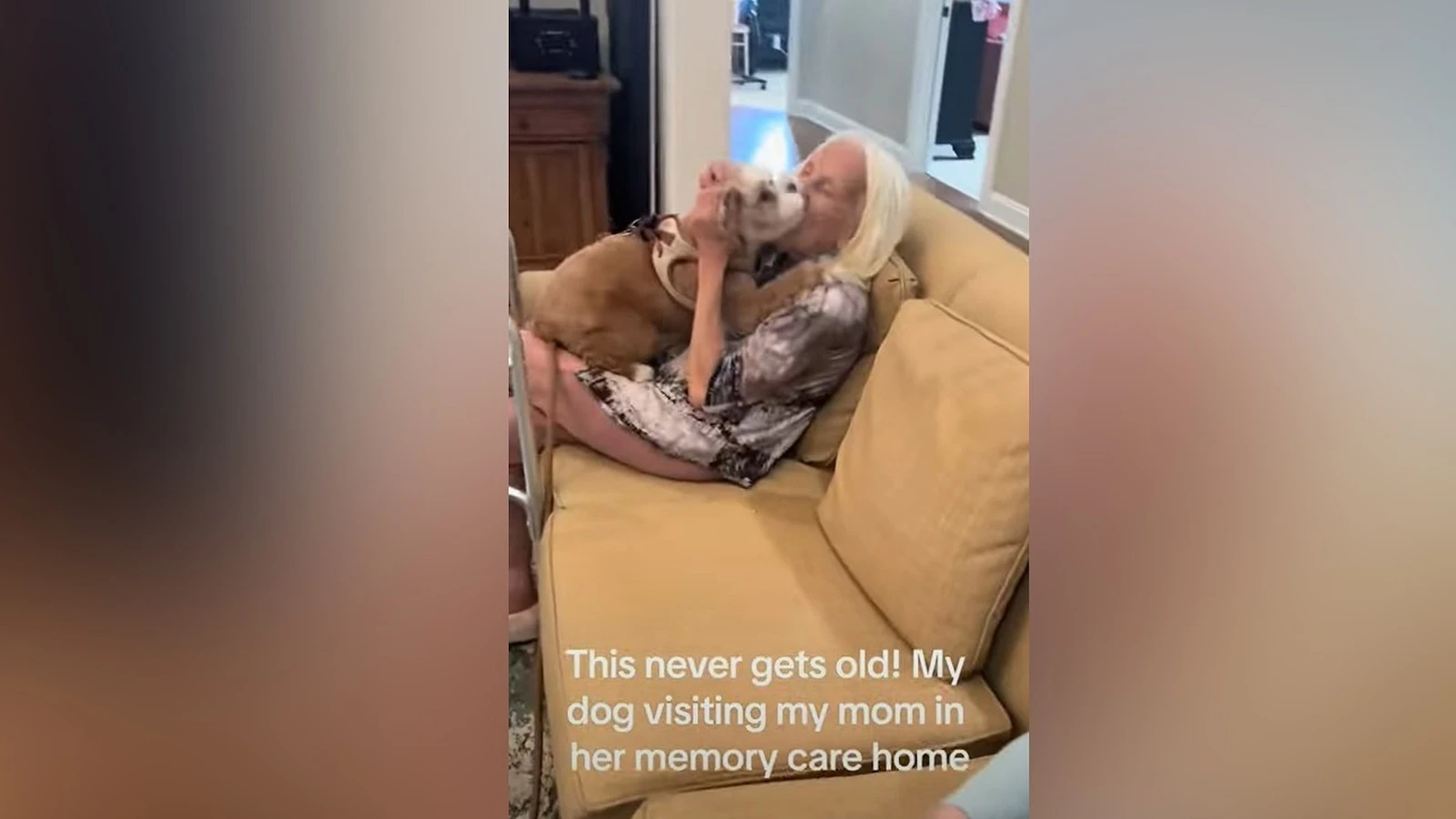 Dog gets adorably excited for reunion with owner's momGeorgia, a Cavapoo, can barely contain her excitement.7/16/2024 03:17:00 EDT