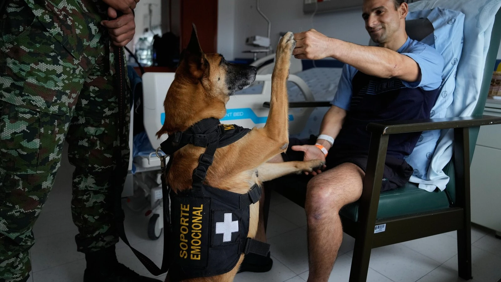 Colombian soldiers find solace in 'furry force' emotional support dogs