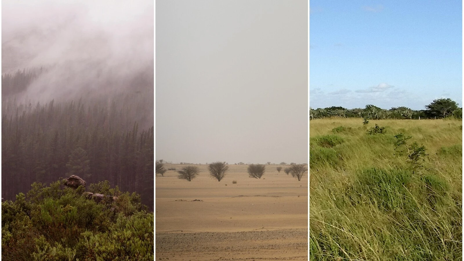 Early humans adapting to extreme habitats set stage for global migration: Researchers