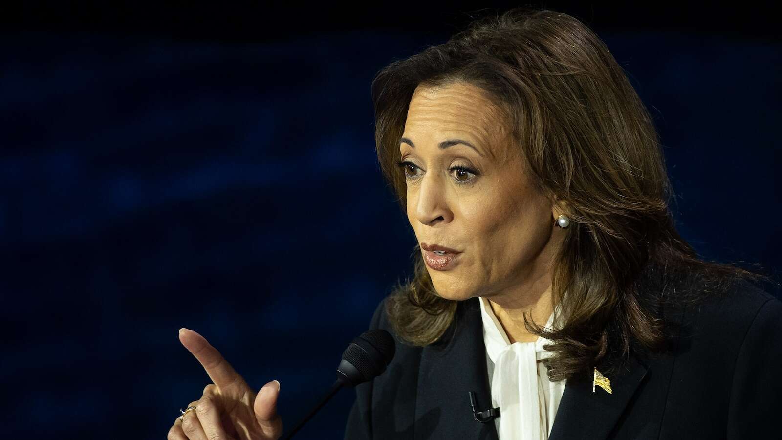 During debate, Harris reminds Trump and Americans that she is a gun owner