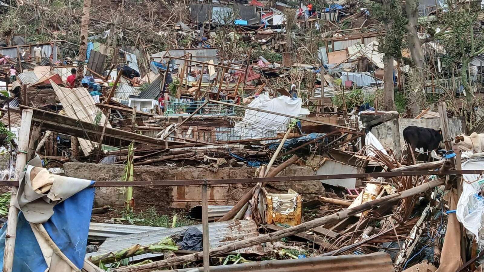 At least 11 dead in the French territory of Mayotte as Cyclone Chido causes devastating damage