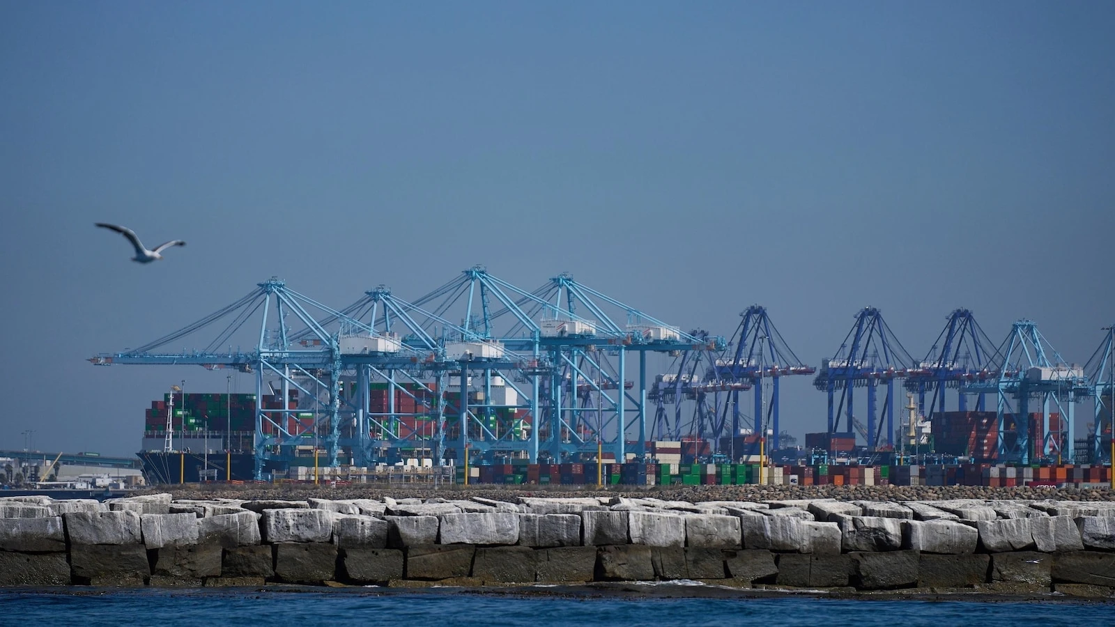 In LA port, bobbing blue floats are turning wave power into clean energy
