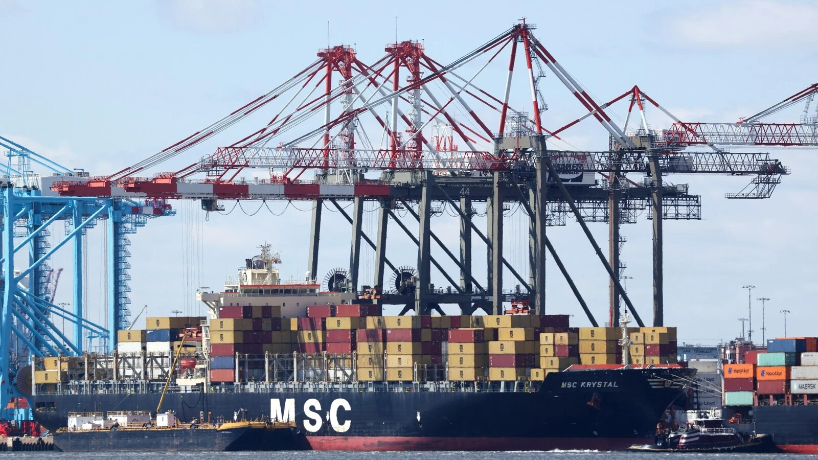 Are tariffs to blame for 38% spike in wholesale vegetable prices? Experts weigh in