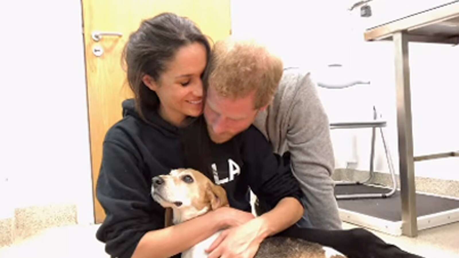 Meghan Markle mourns death of beloved rescue dog, Guy: See her moving video tributeMeghan Markle is grieving the death of her dog, Guy, who she rescued in 2015.1/7/2025 07:57:00 EST