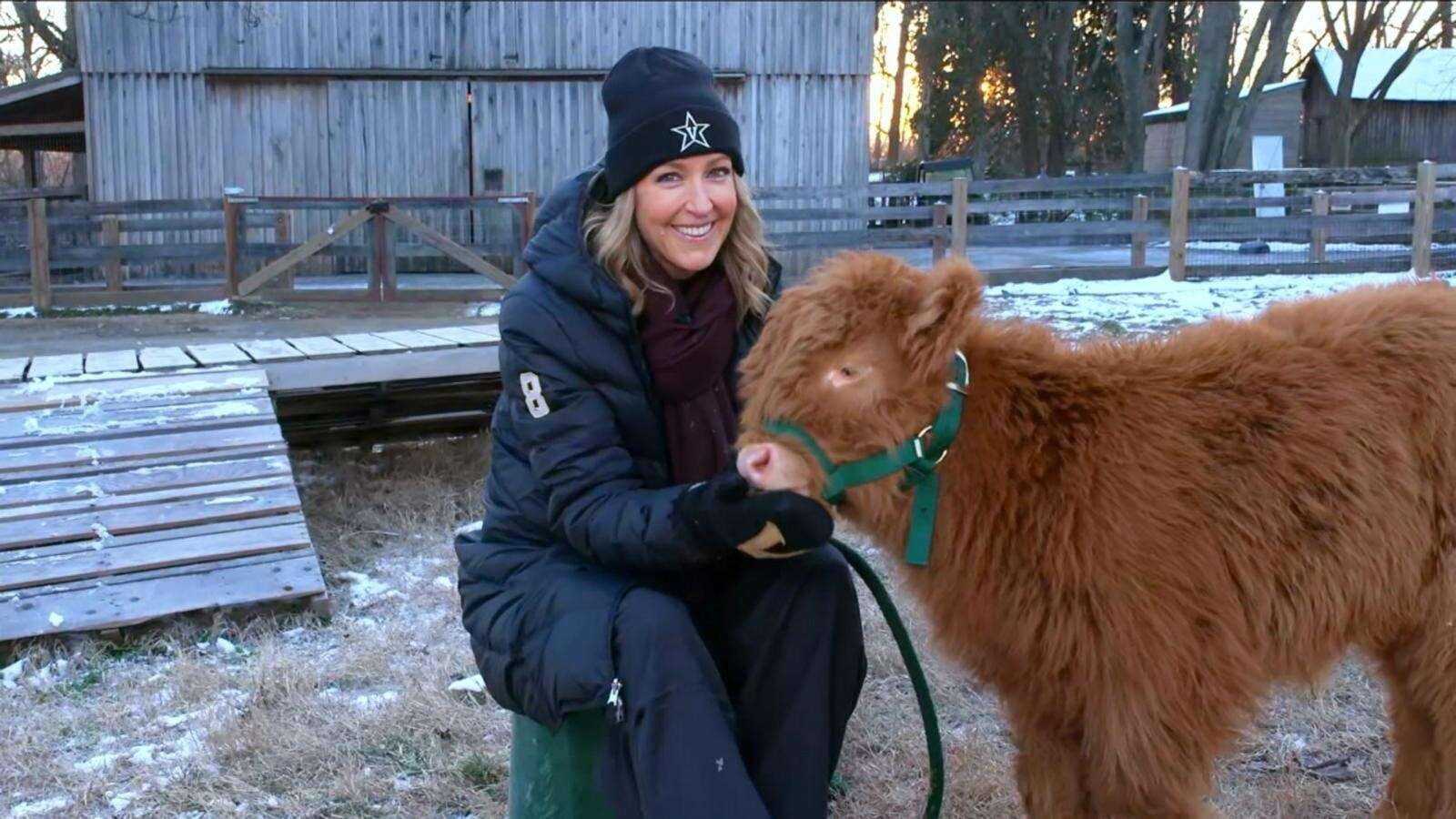 Hamish the Scottish Highland calf captures hearts online and at Nashville ZooThe 8-week-old calf is already a star and social butterfly, zoo staff said.16 minutes ago