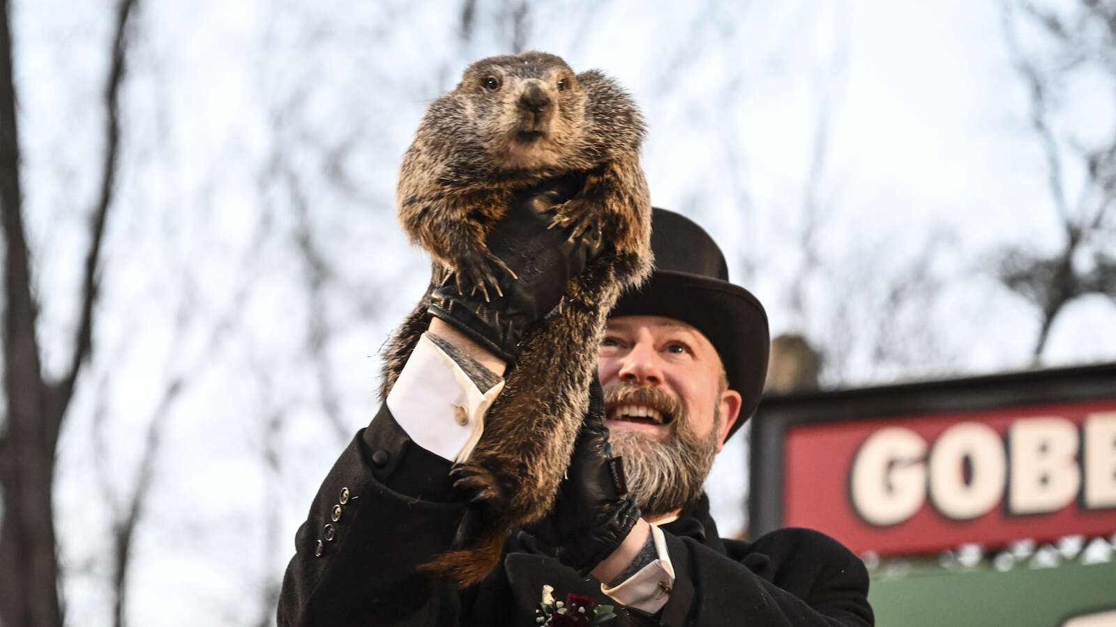 Punxsutawney Phil to mark 1st Groundhog Day as dad