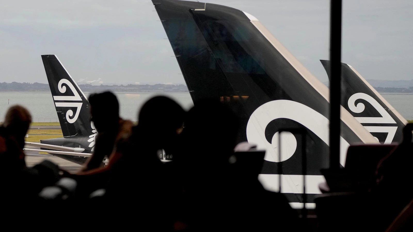 Airline adding bunk beds for economy travelers but bans snacks, smells and cuddling