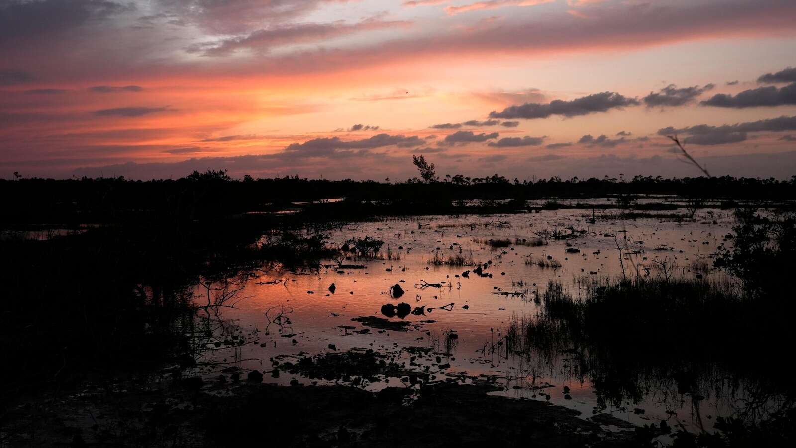 EPA likely to move to further limit federal protections for wetlands