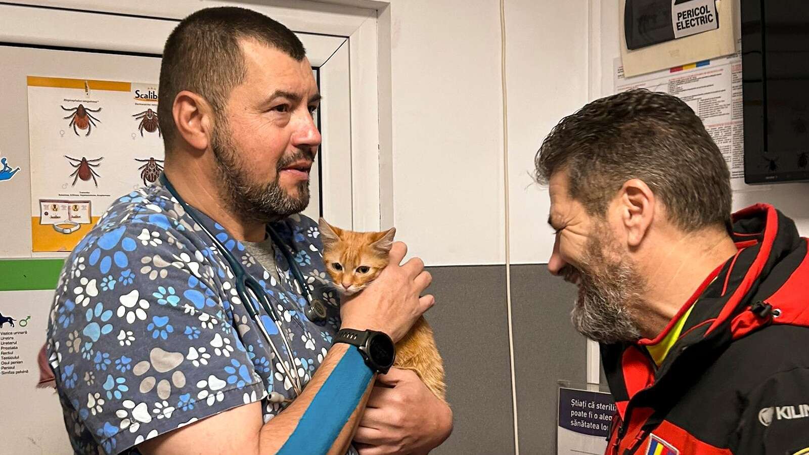 Ukrainian man fleeing war rescued with his kitten on a perilous journey through Romanian mountains