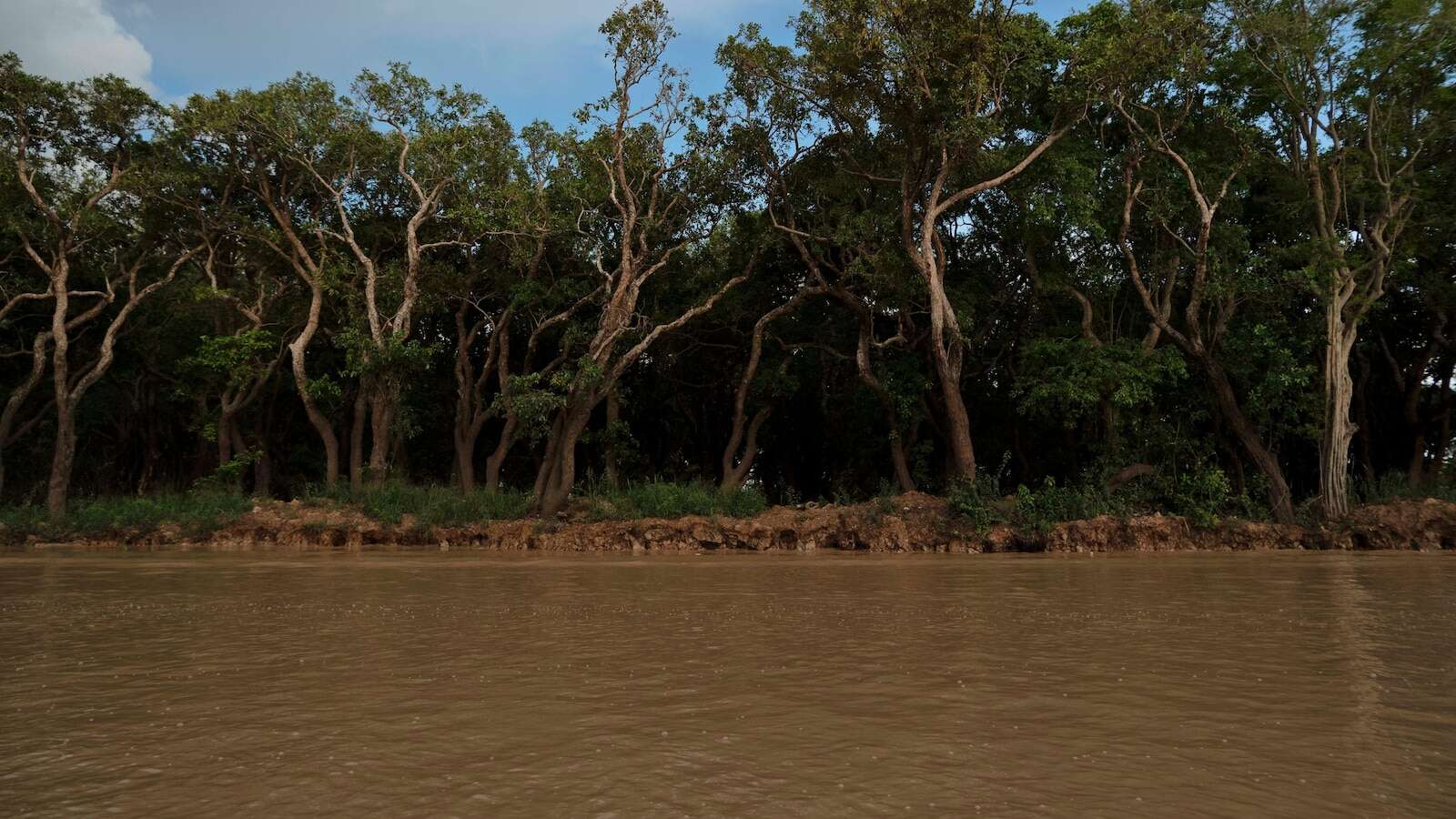 Cambodian fishermen turn to raising eels as Tonle Sap lake runs out of fish