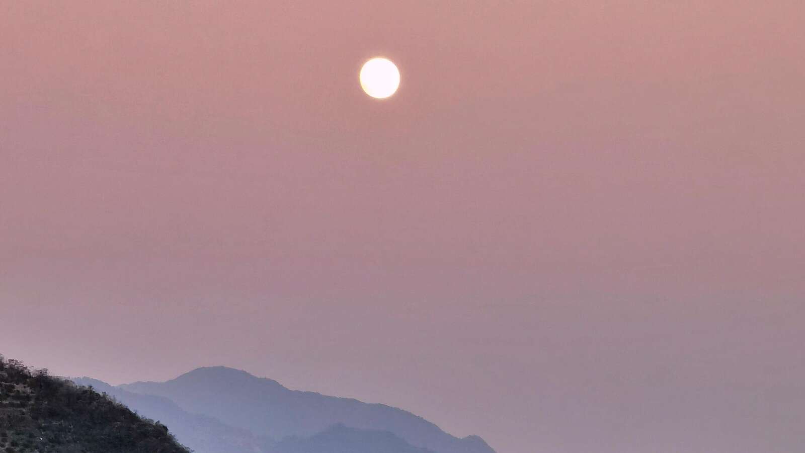 A cliff that looks like a puppy resting by the Yangtze River delights people in China