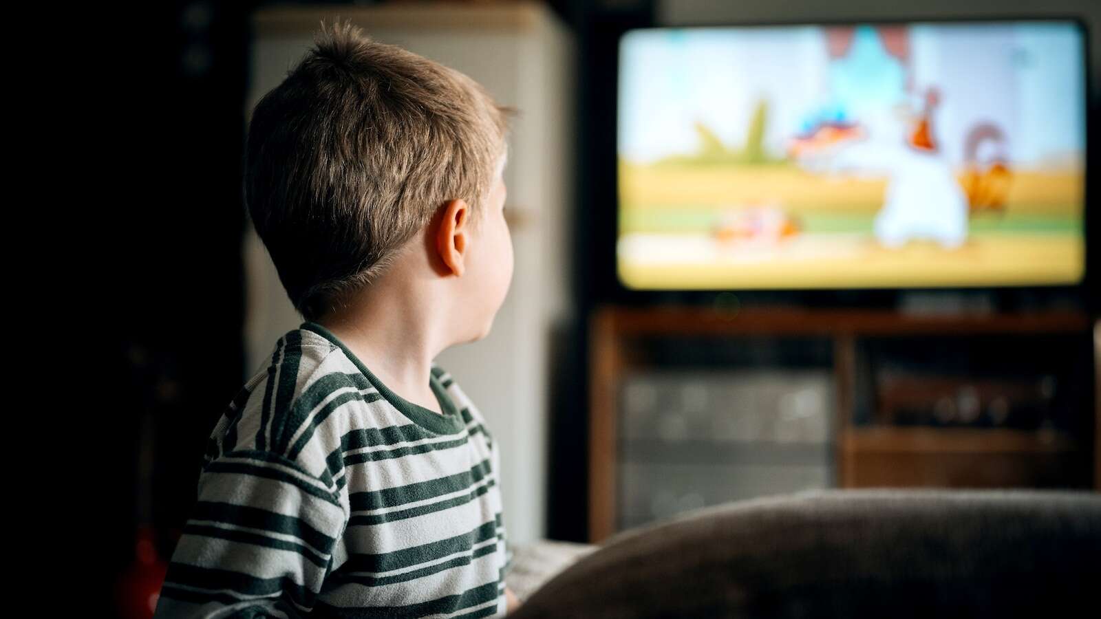 STOCK PHOTOPyrosky/Getty ImagesThe 'Slow TV' movement: Why parents are turning back the clock on kids' programmingSome parents are seeking an antidote to overstimulating modern media.9 minutes ago