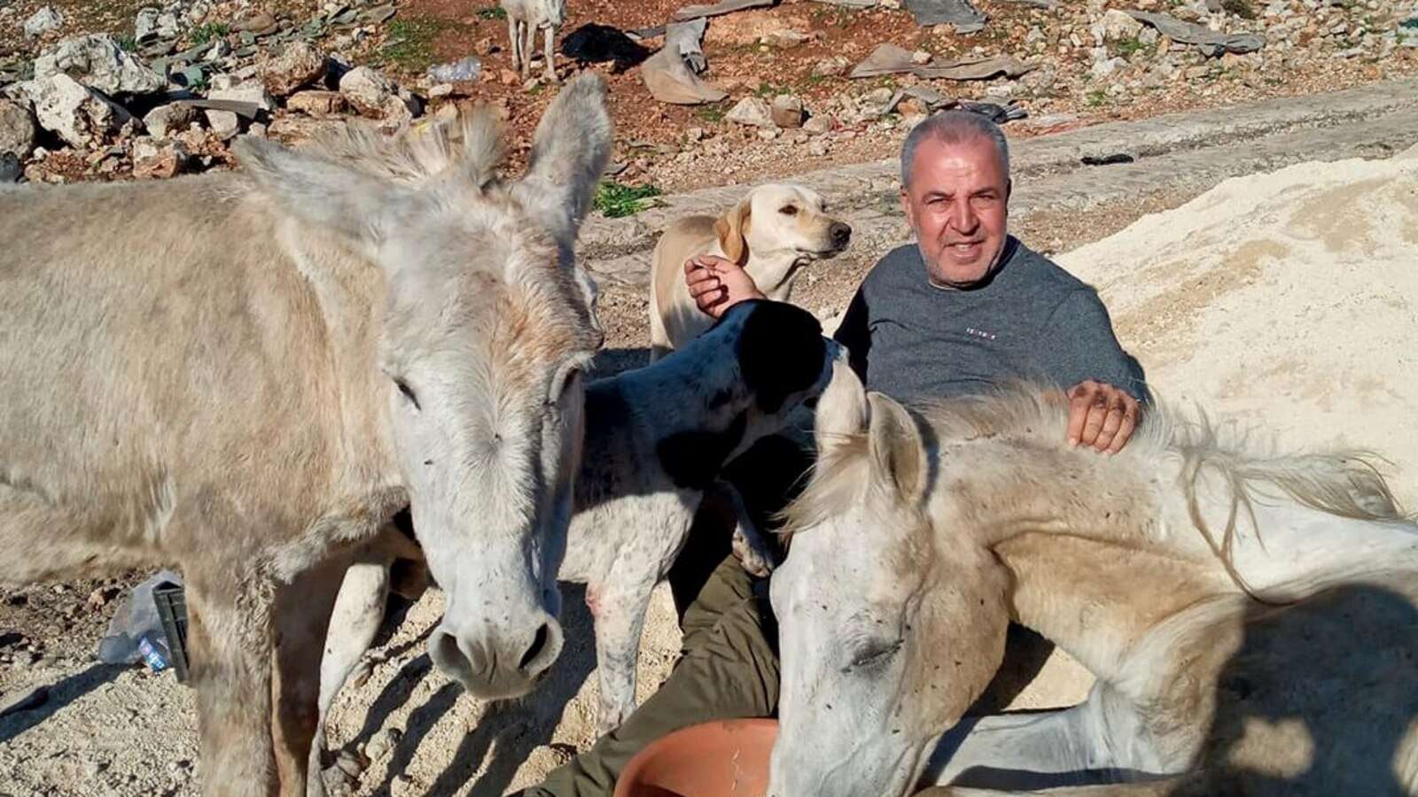 A man in South Lebanon cares for pets left behind as residents flee Israeli bombs