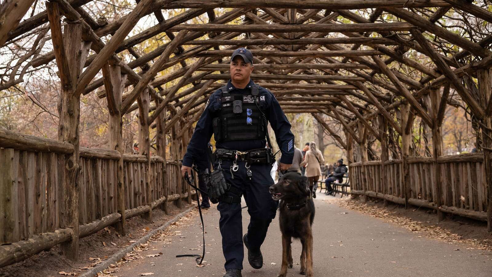 Police divers and dogs return to Central Park as search for UnitedHeathcare CEO's killer wears on