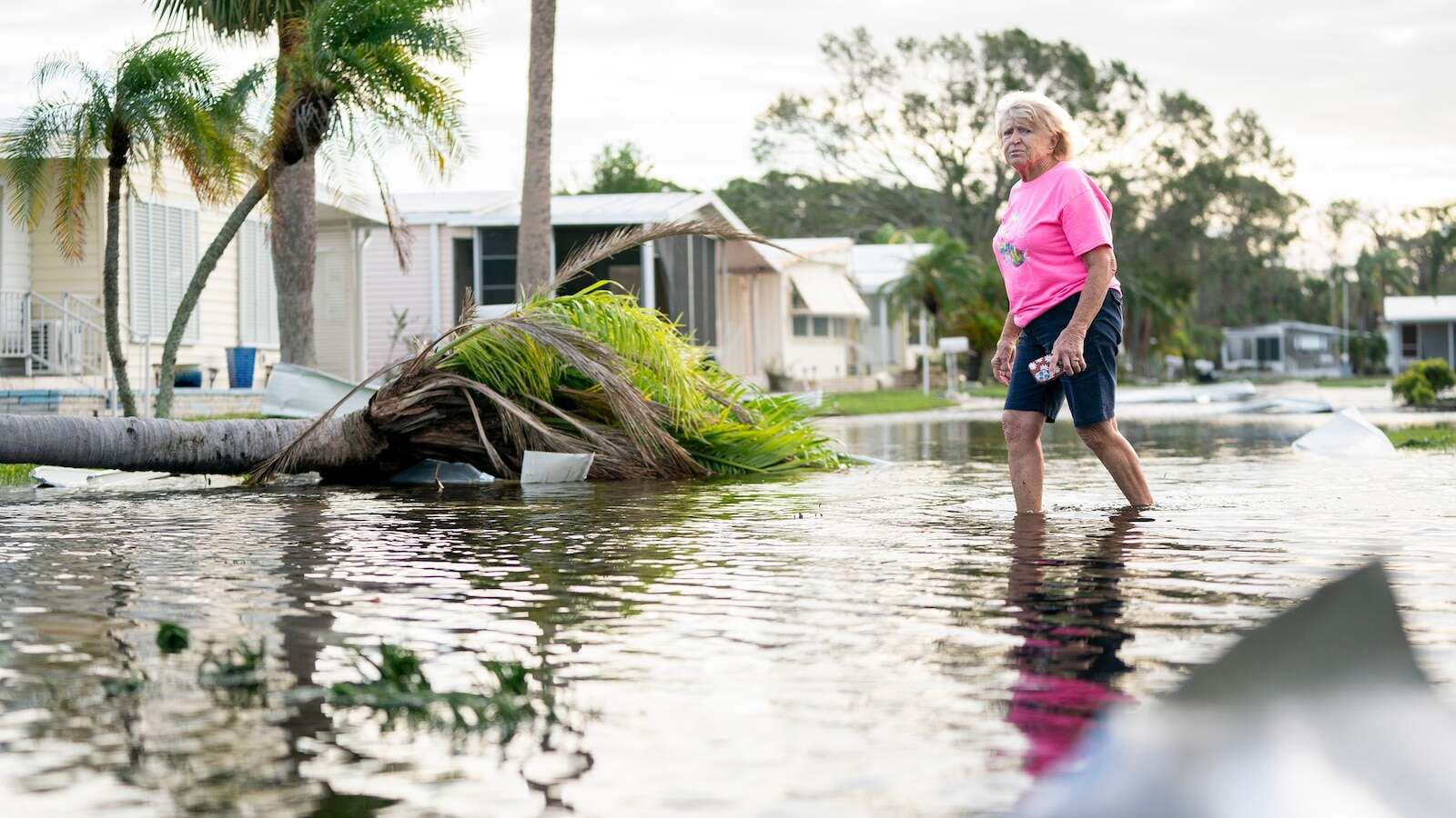 How to help communities impacted by Hurricane MiltonHurricane Milton brought flooding, tornados and damage to Florida.10/10/2024 12:56:06 EDT