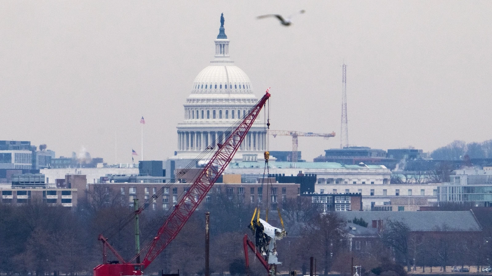 First federal lawsuit filed over DC plane crash