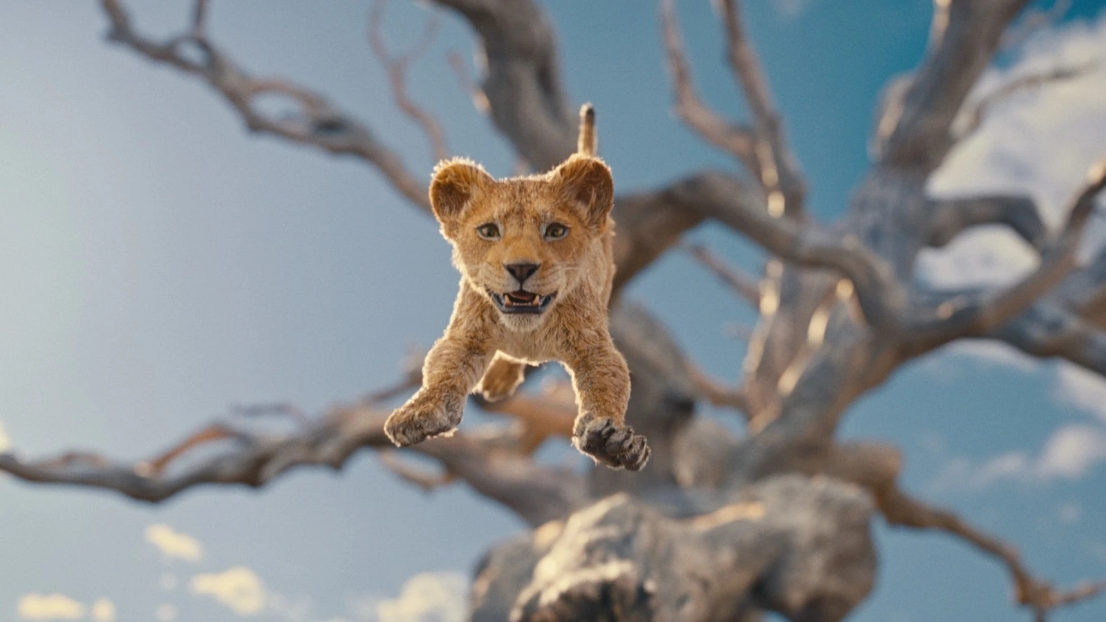 'Mufasa: The Lion King' trailer debuts on 'GMA'