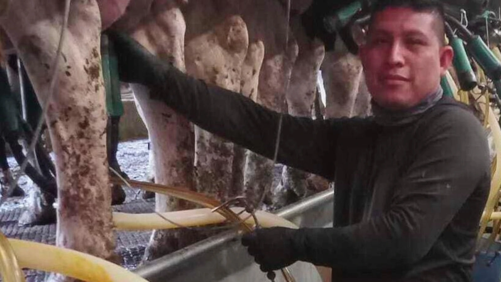 A Vermont dairy farm was raided. The mixed messages from Washington since then have increased fears