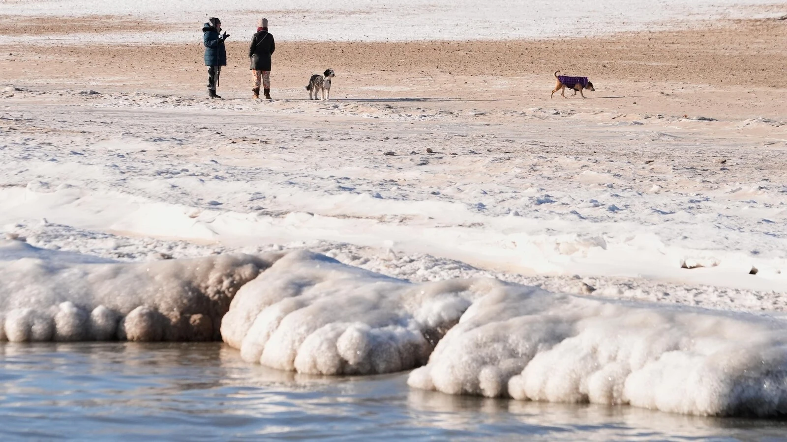 Meteorologists blame a stretched polar vortex, moisture, lack of sea ice for dangerous winter blast