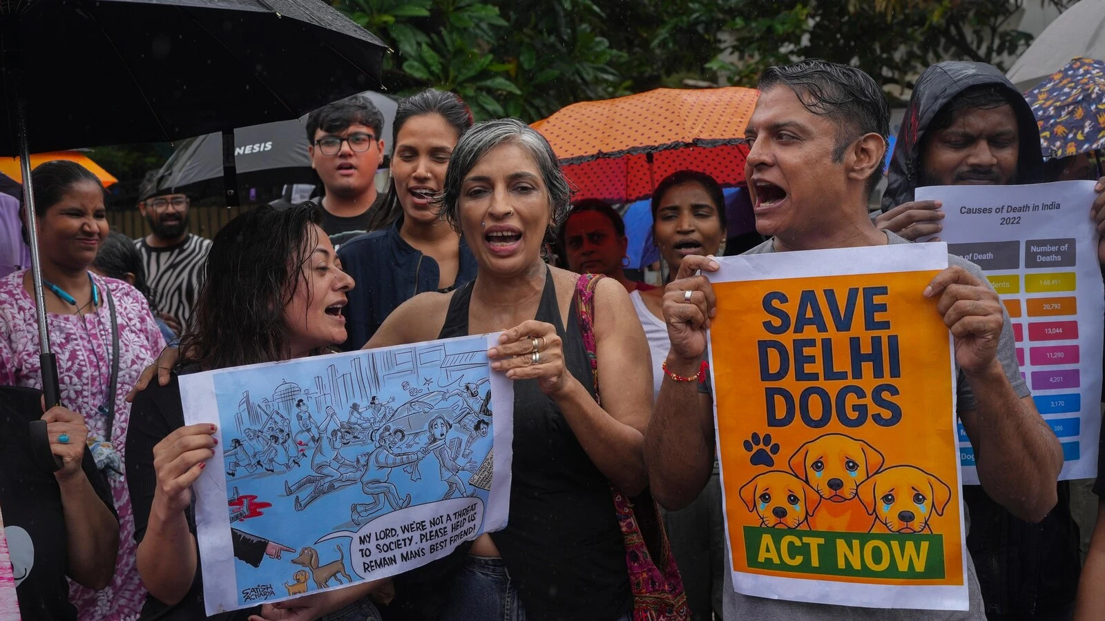India’s Supreme Court orders stray dogs released to New Delhi streets in modified ruling